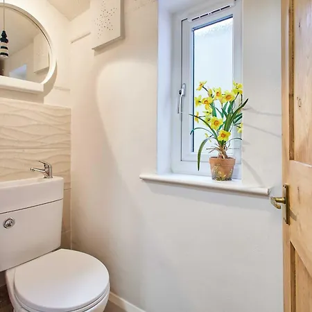 Host & - Sunstar 펜션 *